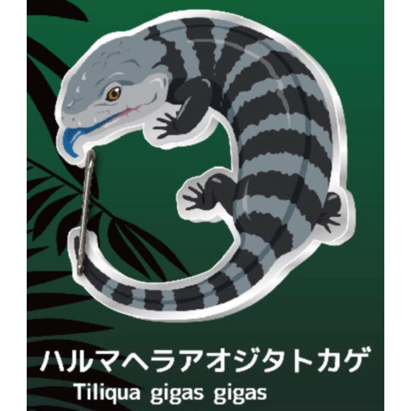 Gecko Lover Carabiner Gashapon - Capsule Toy Gashapon のレビューと価格
