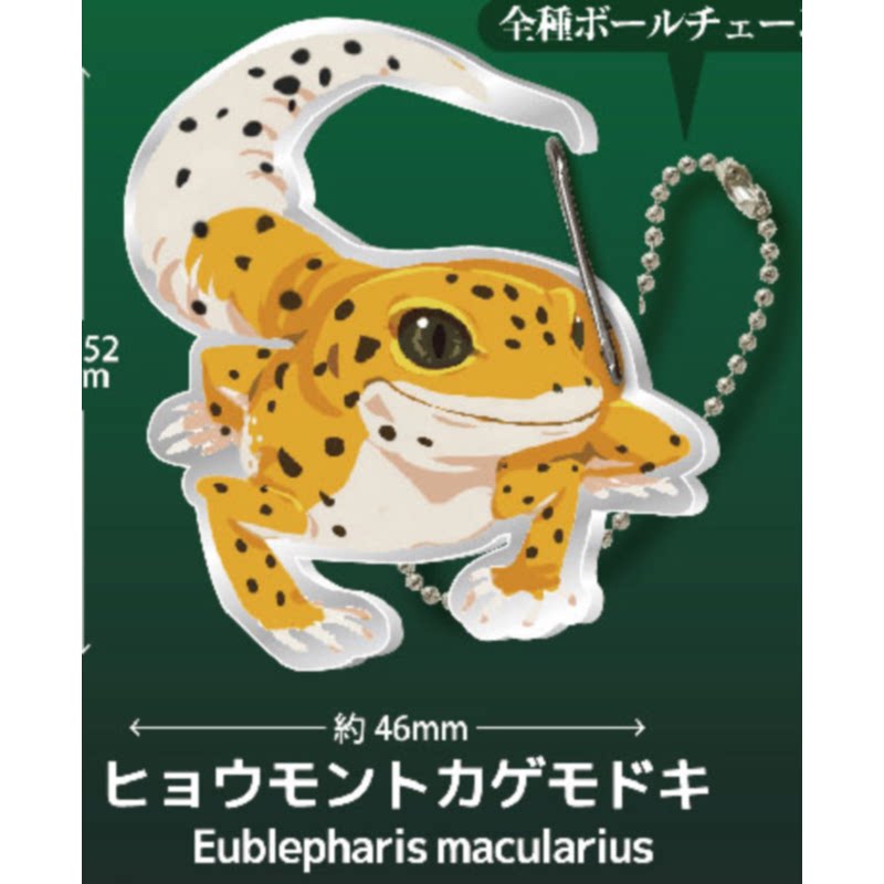 Gecko Lover Carabiner Gashapon - Capsule Toy Gashapon のレビューと価格
